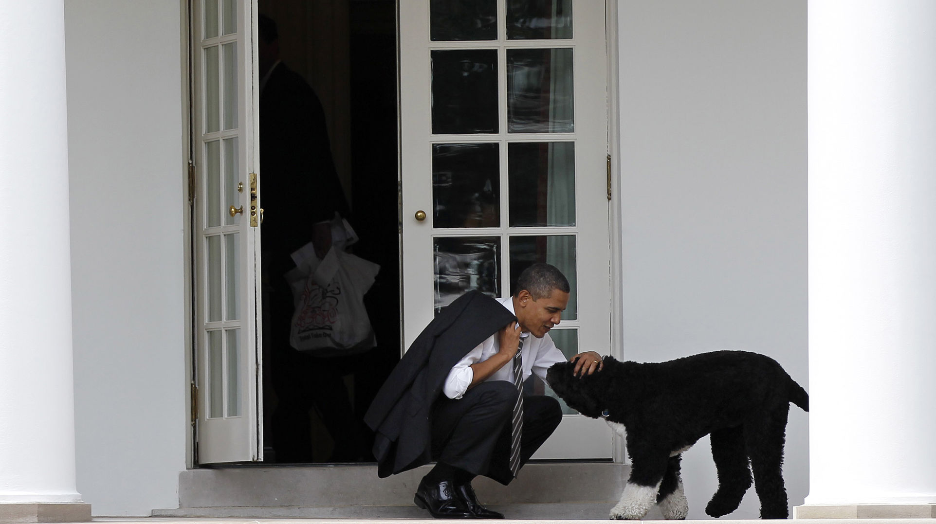 2012, Bo
